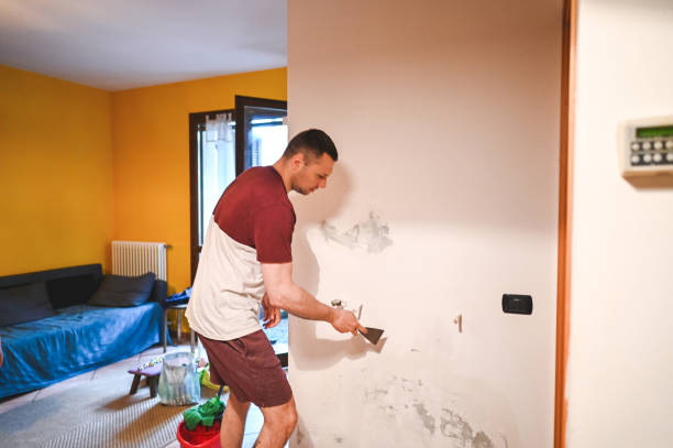 Best Home Mold Removal  in Winnebago, MN